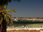 Photo1304_xsmall