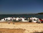 Photo1305_xsmall