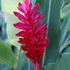 Photo2435_thumb