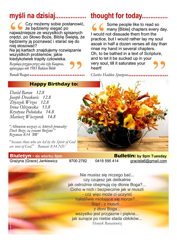 Bulletin-7_original