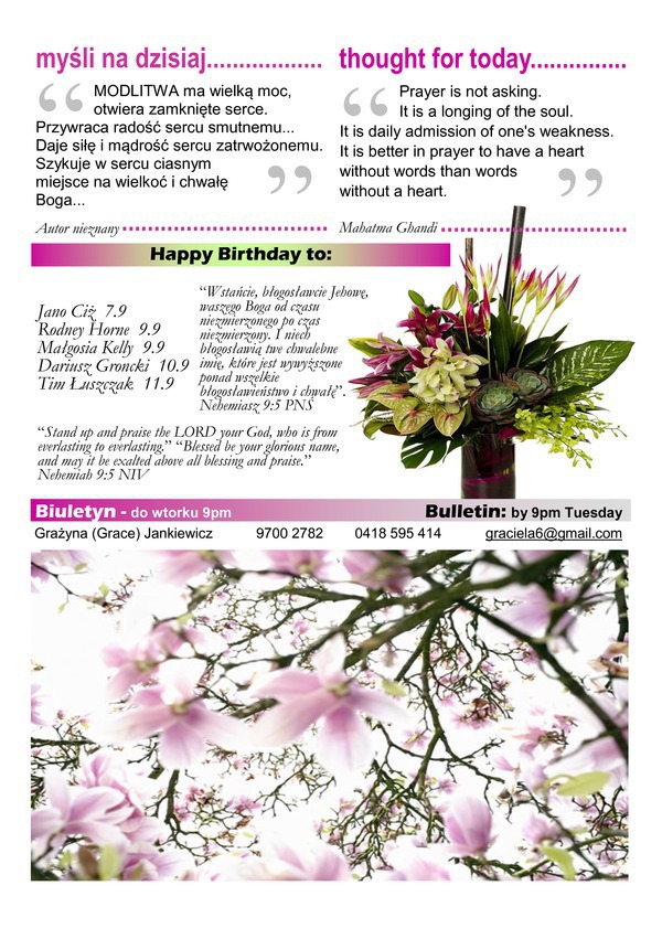 Bulletin-7_original