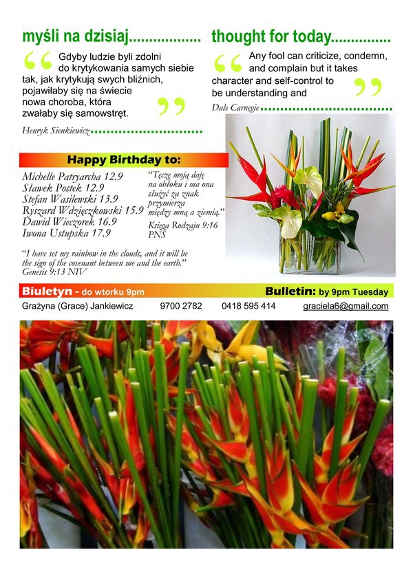 Bulletin-7_original