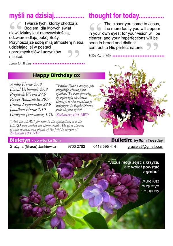 Bulletin-7_original