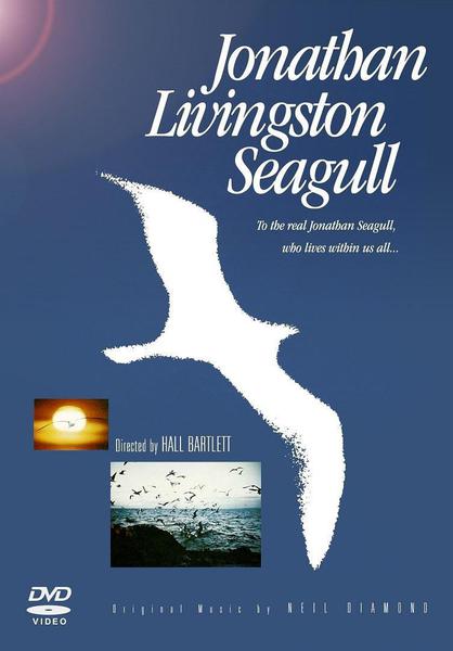 Seagulldvd_large