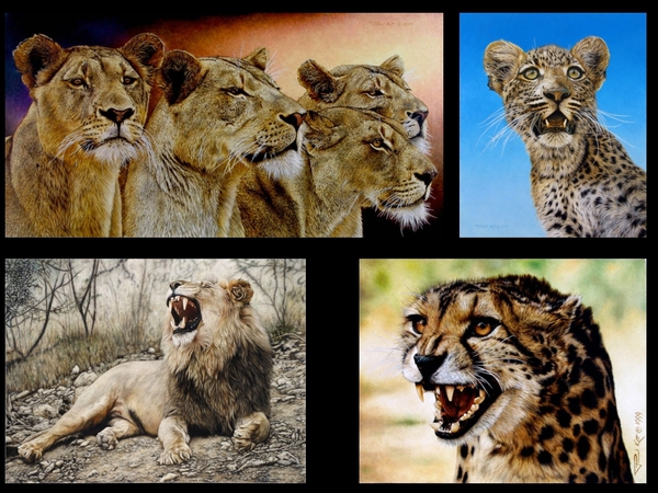 5-big_cats_large