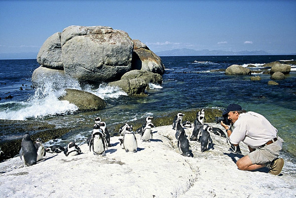 Capetown2000_1_large