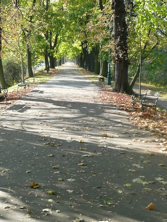Nadesz_a_pi_kna_polska_z_ota_jesie__medium
