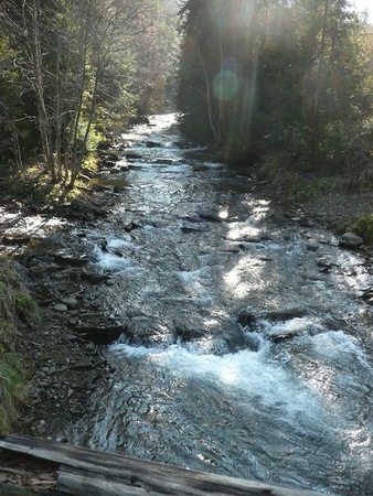 Rzeki_w_d_nieprzebranych_wielk_hojno_maj__medium
