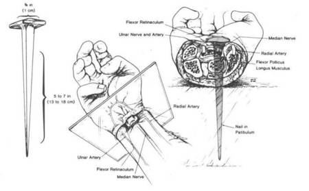Image004_medium