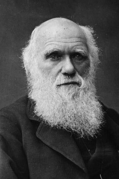 Karol_darwin_small