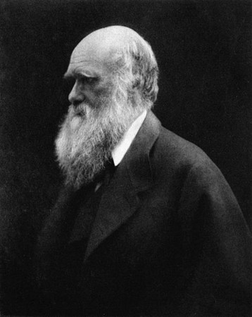 Darwin_medium